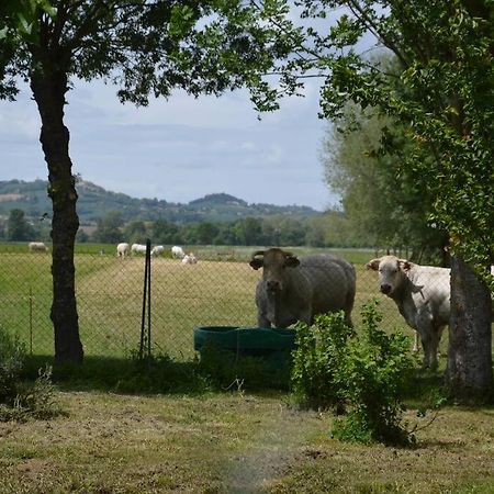 Gite A La Ferme De La Bouriette Revel  Exteriér fotografie