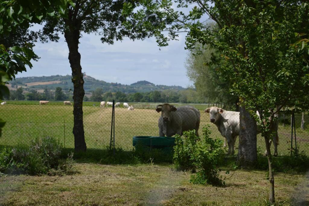 Gite A La Ferme De La Bouriette Revel  Exteriér fotografie